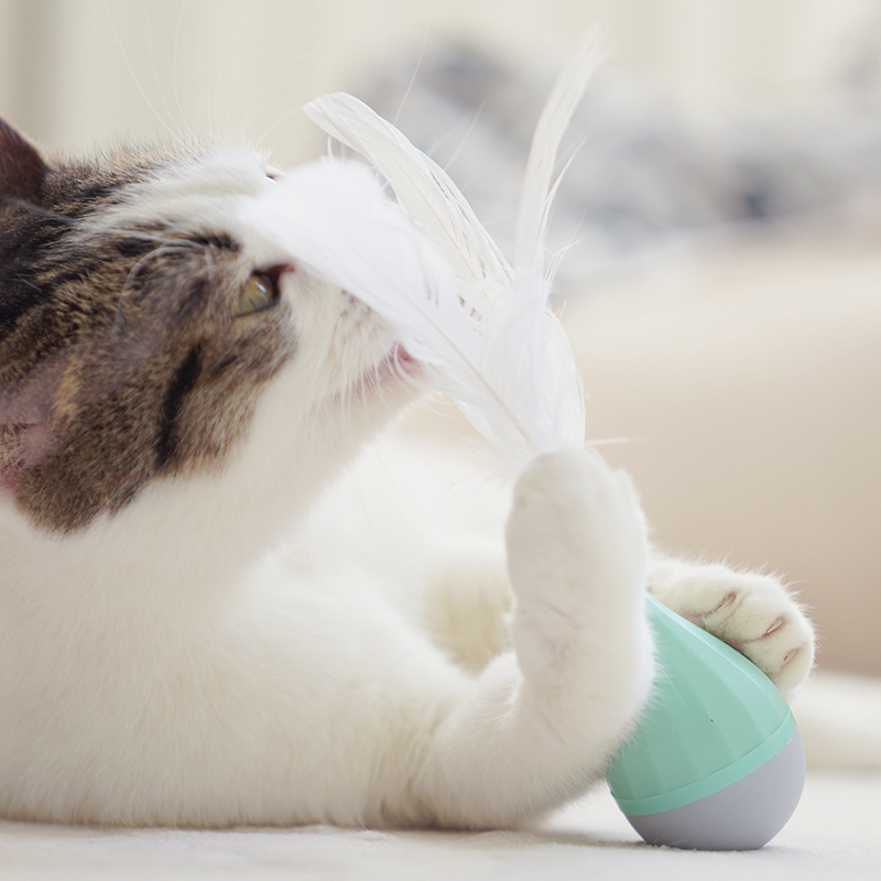 Wholesale Interactive Tumbler Design Cat Feather Toy