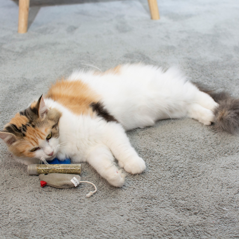 Wholesale Plush Mouse Catnip Toys for Cat