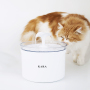 Manufacturer wholesale automatic battery filter drinking LED round cat water fountain