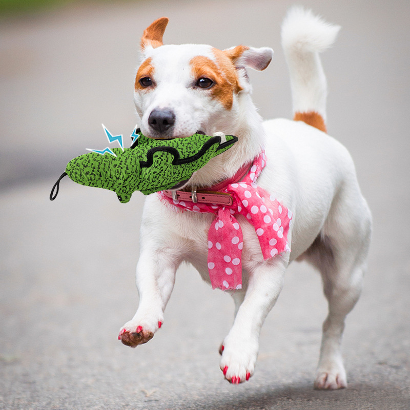 Manufacturer wholesale oxford squeaky bite resistant dog chewing toy