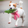 Manufacturer wholesale oxford squeaky bite resistant dog chewing toy