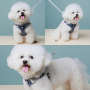 Manufacturer Wholesale Breathable Mesh Small Dog Harness Vest