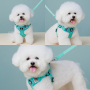 Manufacturer Wholesale Breathable Mesh Small Dog Harness Vest