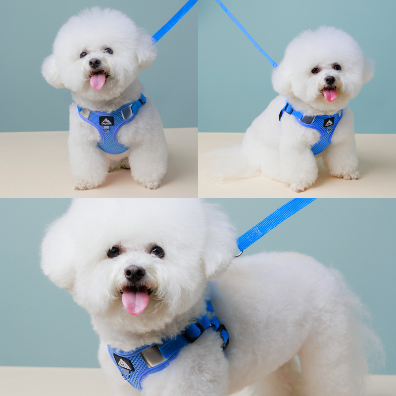 Manufacturer Wholesale Breathable Mesh Small Dog Harness Vest