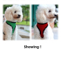 Manufacturer wholesale breathable multi-colors dog mesh cloth harness