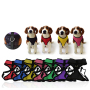 Manufacturer wholesale breathable multi-colors dog mesh cloth harness