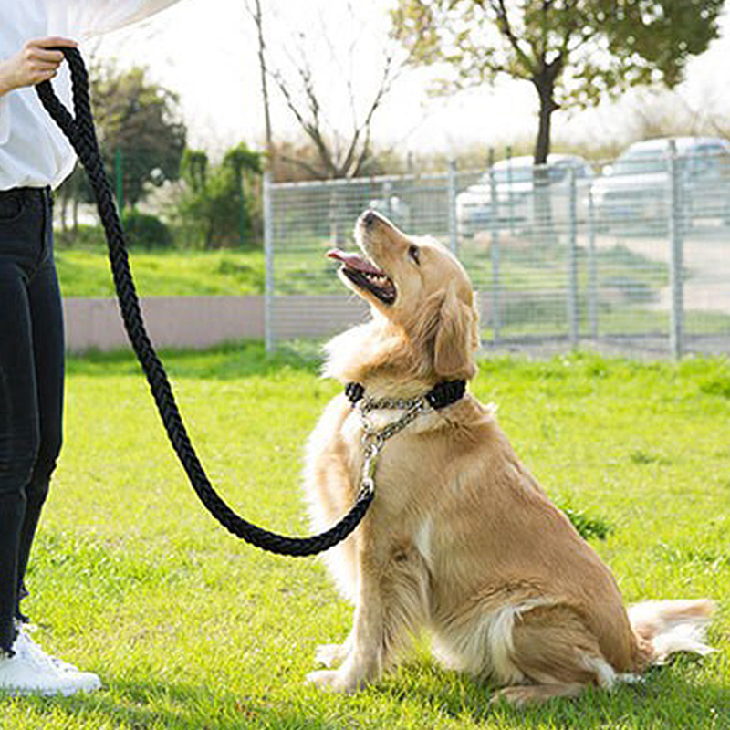 Wholesale Nylon Durable Large Dog Collar and Leash Set