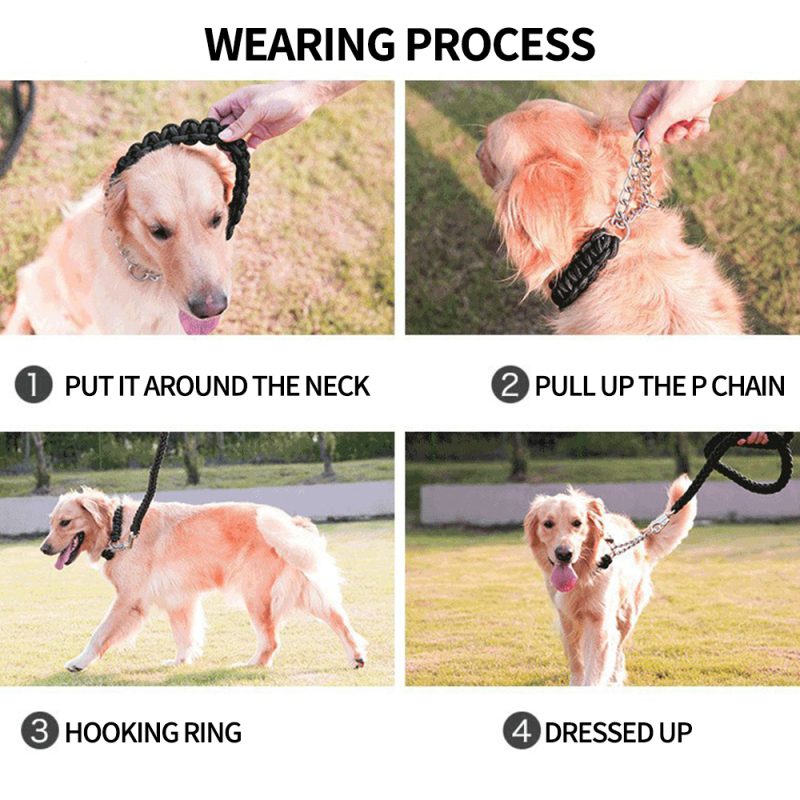 Wholesale Nylon Durable Large Dog Collar and Leash Set