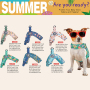 Manufacturer Wholesale Breathable Pet Accessories Product Dog Harness Customize