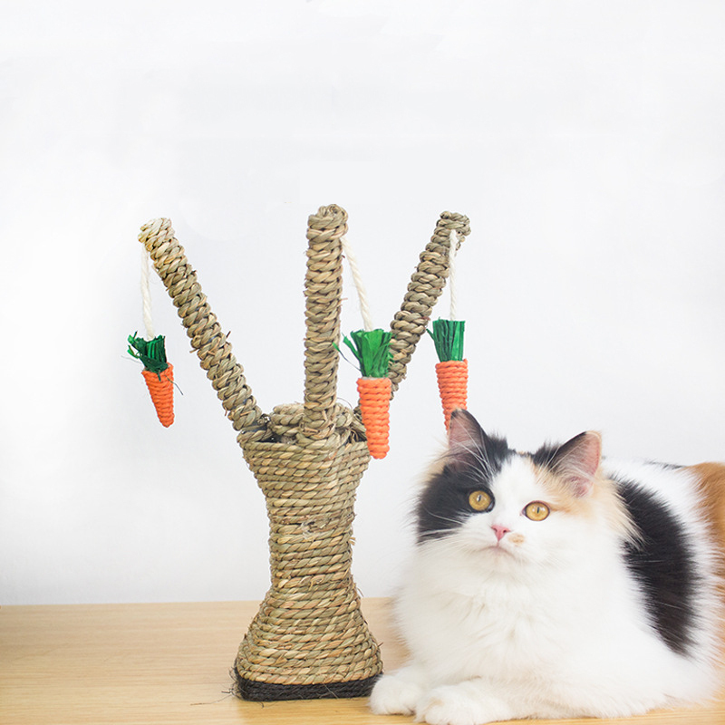 Manufacturer wholesale seaweed cat scratcher tree with carrot rope toys
