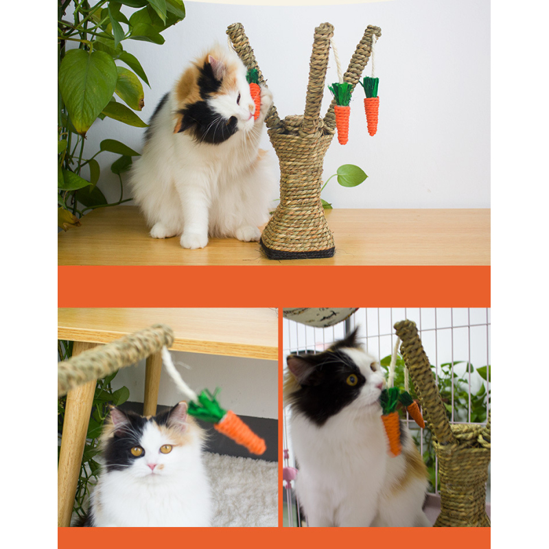 Manufacturer wholesale seaweed cat scratcher tree with carrot rope toys