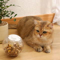 Wholesale Round Food Feeder Dog Cat Toy Ball