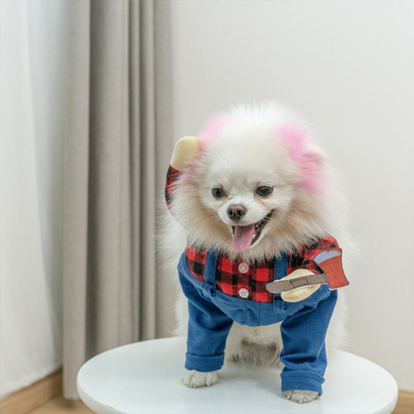 Manufacturer wholesale halloween unique design carnival dog costume