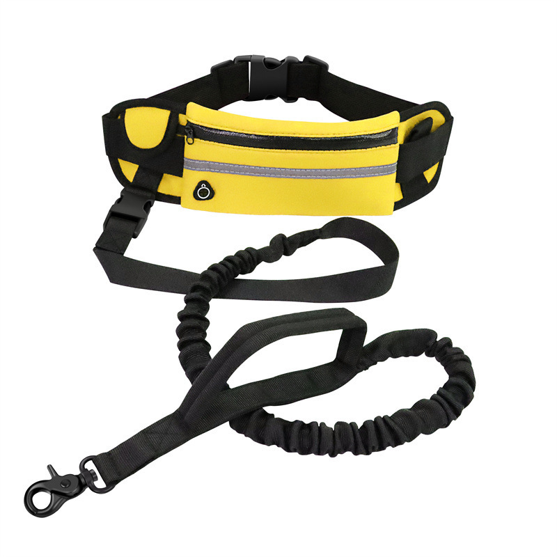 Manufacturer wholesale reflective adjustable cheap running used dog leash with pocket set