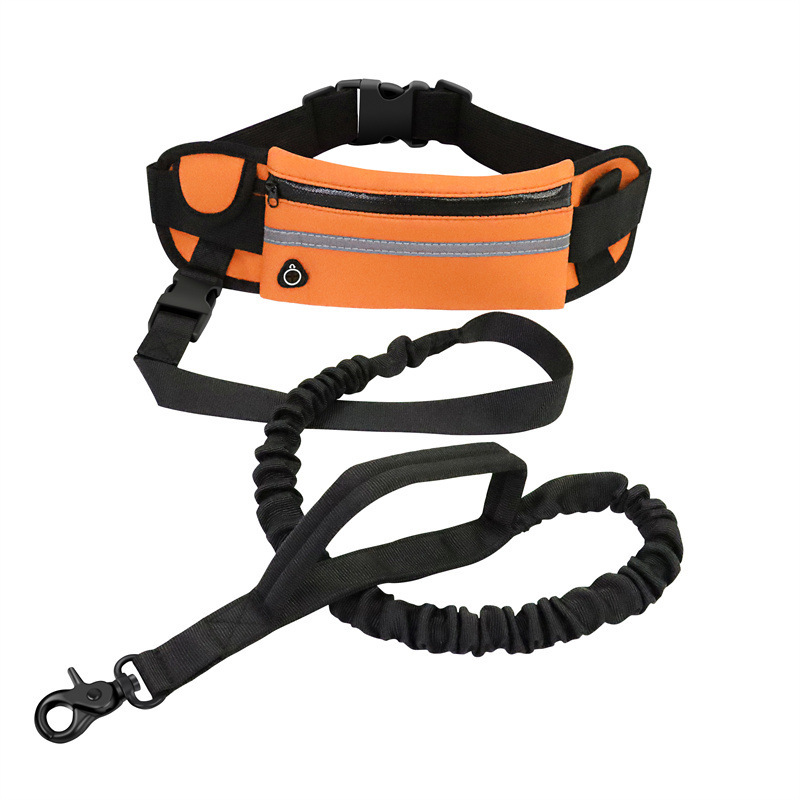 Manufacturer wholesale reflective adjustable cheap running used dog leash with pocket set