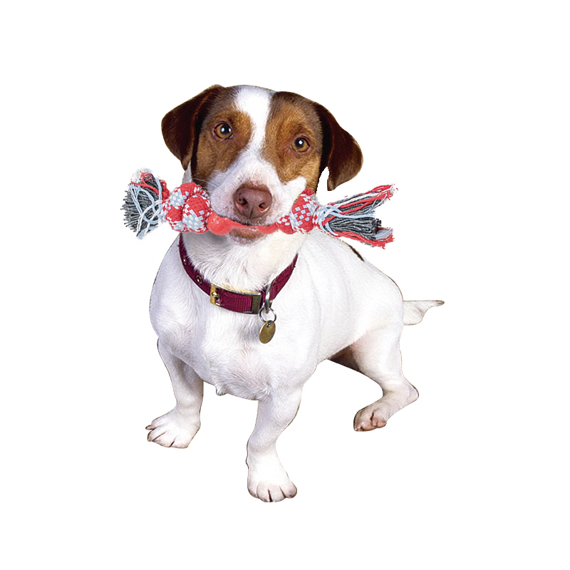 Manufacturer wholesale chew dog rope toys christmas design