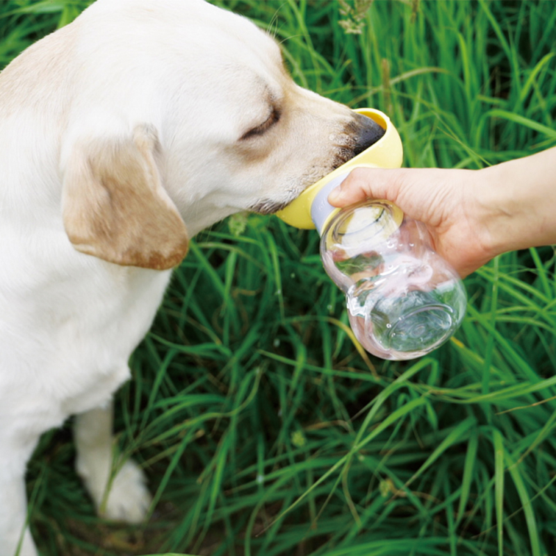 Manufacturer wholesale white yellow purple portable dog water bottle cloud design