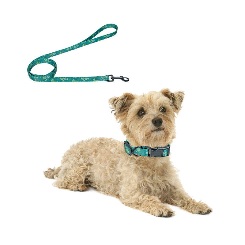 Manufacturer Wholesale Custom logo Adjustable Green Dog Leash Collar