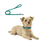Manufacturer Wholesale Custom logo Adjustable Green Dog Leash Collar