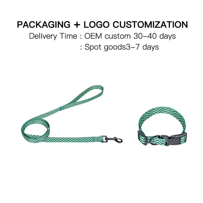 Manufacturer Wholesale Custom logo Adjustable Green Dog Leash Collar