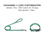 Manufacturer Wholesale Custom logo Adjustable Green Dog Leash Collar