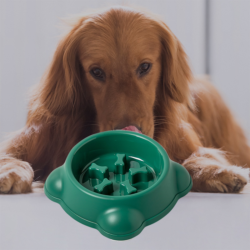 Manufacturer wholesale green white pink plastic dog slow feeder bowl non-slip