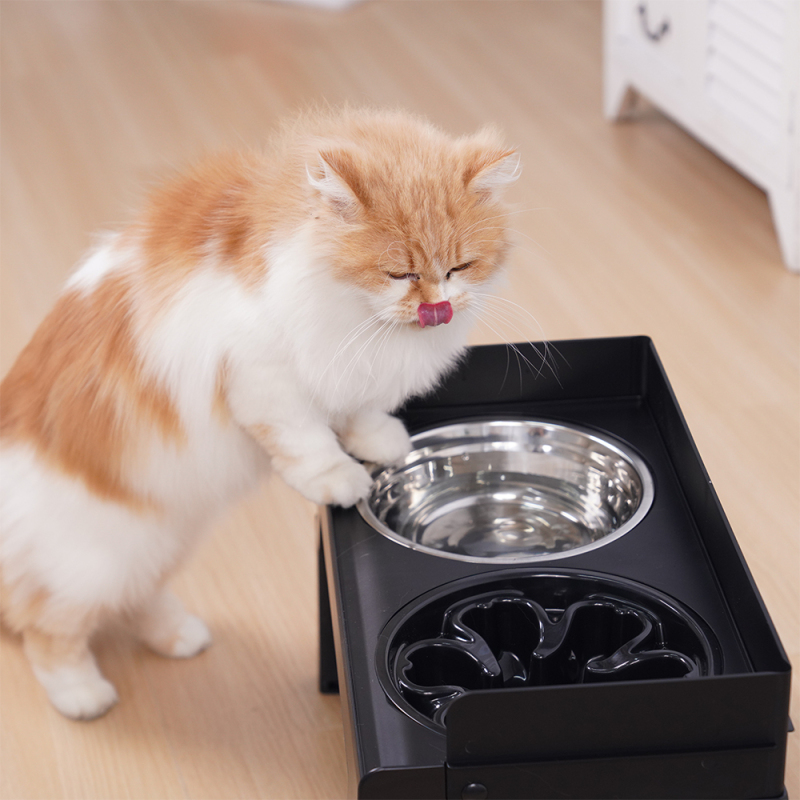 Wholesale Foldable Slow Feeder Stainless Steel Dog Elevated Bowl