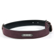 purple with logo