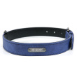 blue with logo