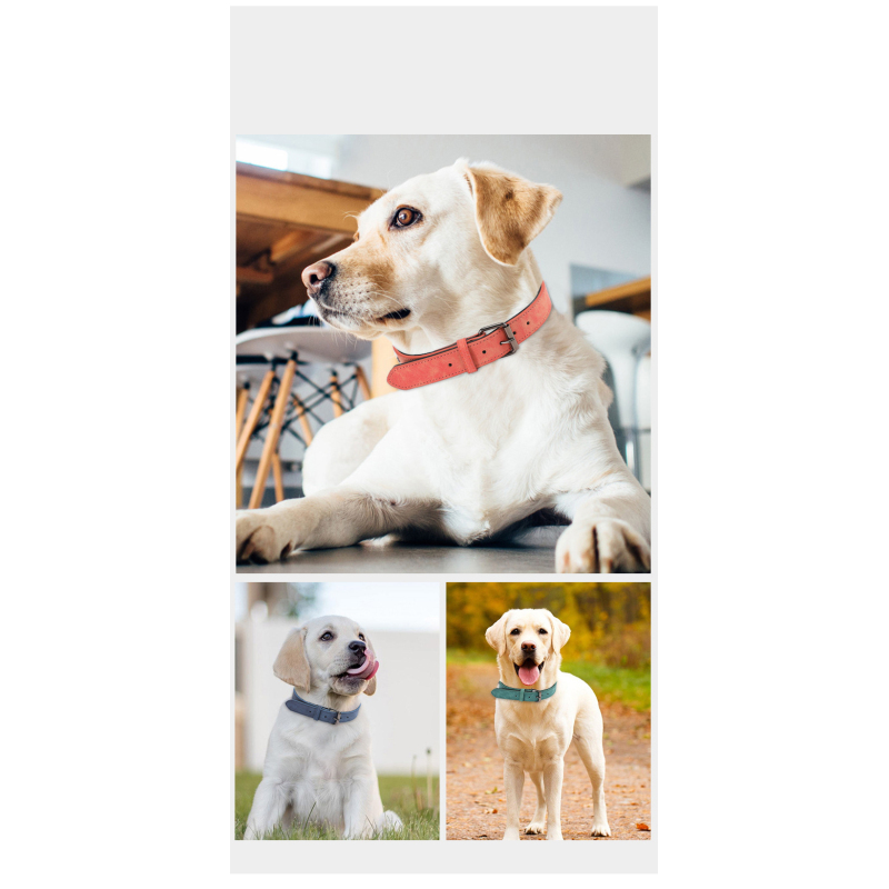 Manufacturer wholesale custom logo adjustable leather dog collar