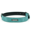 light green with logo