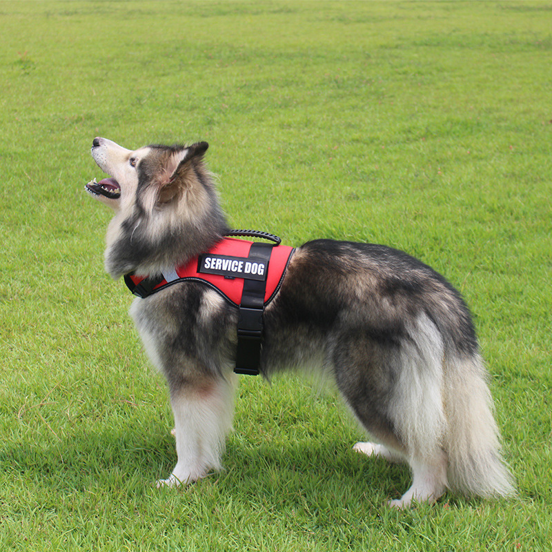 Manufacturer wholesale black red adjustable nylon outdoor harness for big dog use
