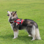 Manufacturer wholesale black red adjustable nylon outdoor harness for big dog use