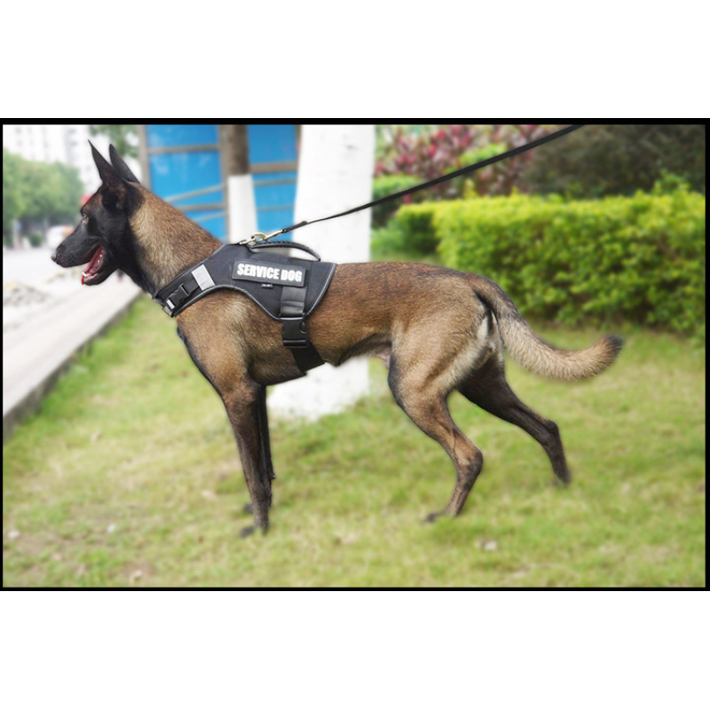 Manufacturer wholesale black red adjustable nylon outdoor harness for big dog use