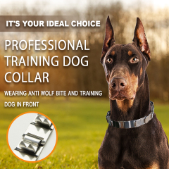 Wholesale Training Dog Collar Stainless Steel