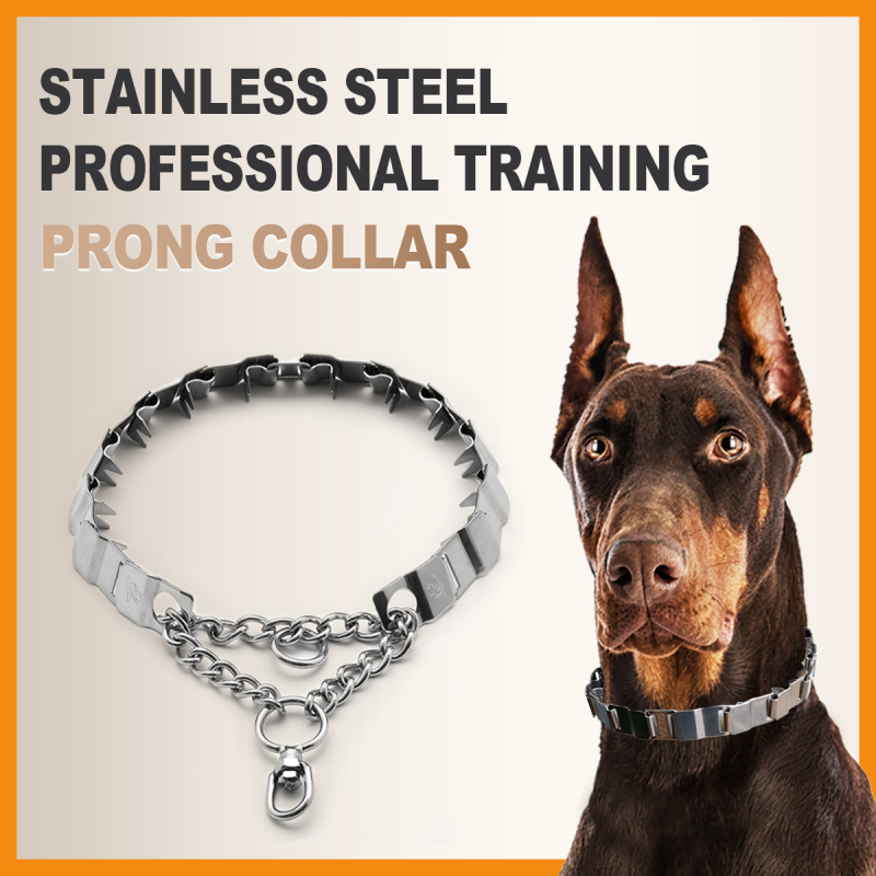 Wholesale Training Dog Collar Stainless Steel