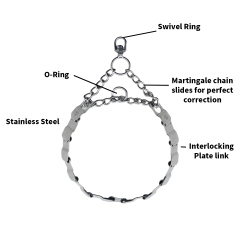 Wholesale Training Dog Collar Stainless Steel