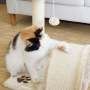 Manufacturer Wholesale Beige Sisal Small Scratcher Cat