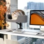Wholesale Warm and Safe Office Cat Bed Solid Pattern Removable Washable Winter Kitten Bed