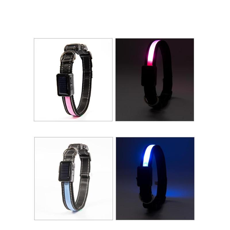 Manufacturer wholesale multi-colors energy saving environmental nylon led pet dog collar usb solar charging