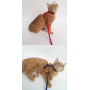 Manufacturer wholesale adjustable multi-colors cat harness