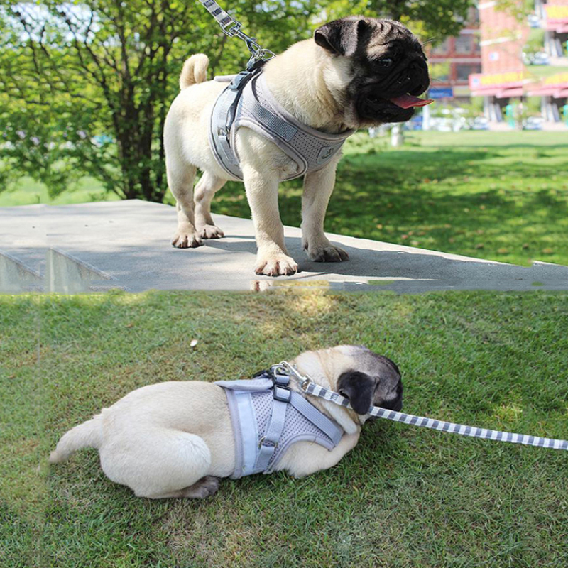 Manufacturer wholesale breathable red black blue grey nylon pet dog reflective harness