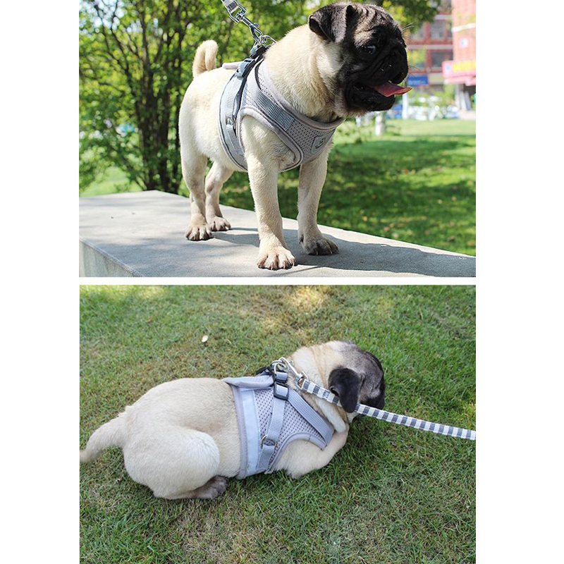 Manufacturer wholesale breathable red black blue grey nylon pet dog reflective harness
