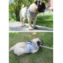 Manufacturer wholesale breathable red black blue grey nylon pet dog reflective harness