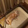 Wholesale Deodorizing Bag Detachable Cat Litter Box
