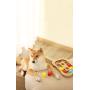 Manufacturer wholesale eco-friendly wooden plastic cat smart feeder toy