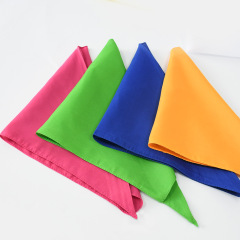 Wholesale Custom Logo Design Blank Cat Pet Dog Bandana