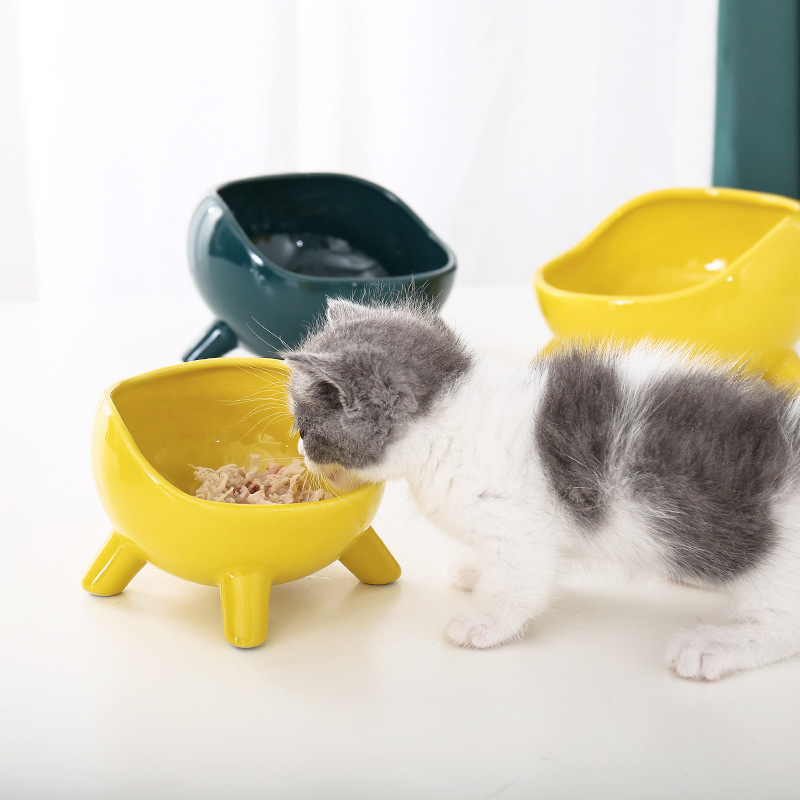 Manufacturer wholesale green yellow ceramic dog cat bowl stable