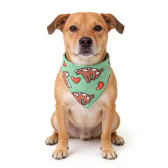 Wholesale Multi-design Buckle Pet Dog Bandana Collar