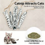Wholesale Custom Logo Chew Catnip Fish Cat Toy